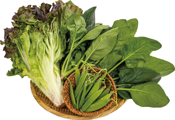野菜セット
